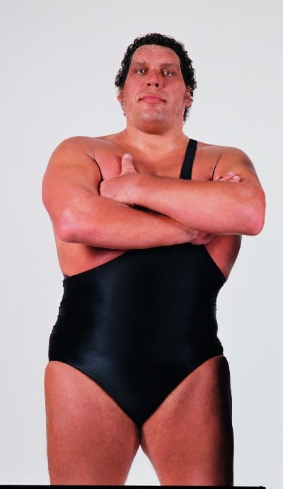 Andre the Giant