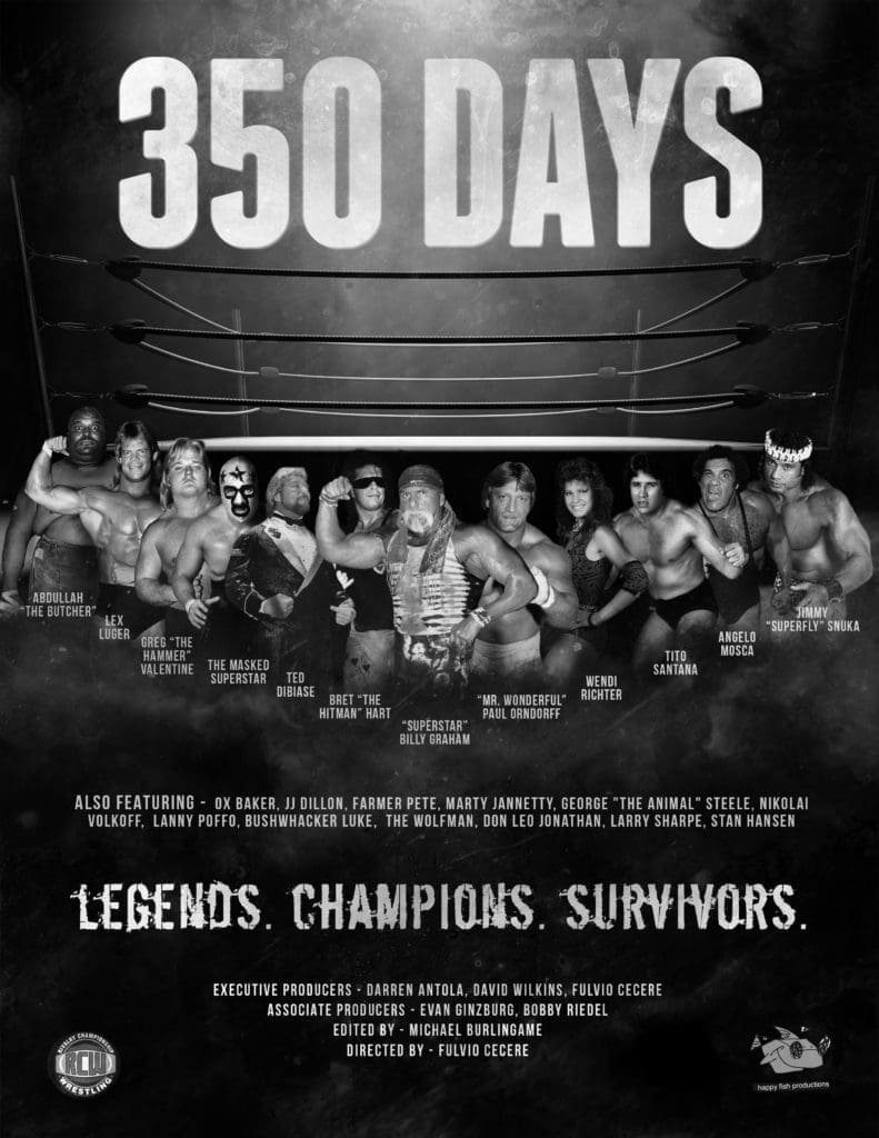 350 Days Movie Poster