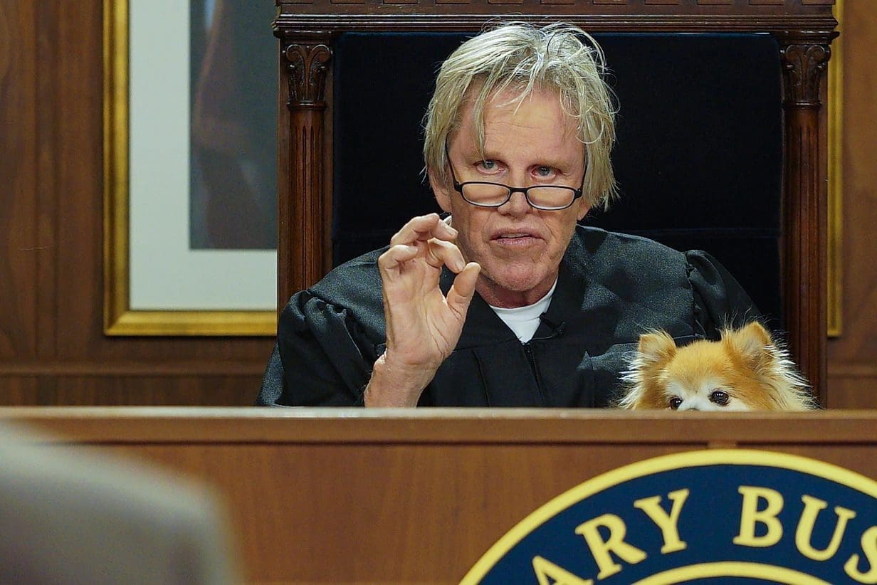 Gary Busey Pet Judge